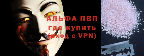 сатива Каменногорск